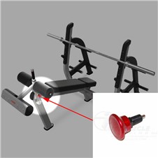 B7204-Olympic-Decline-Bench-STAR304