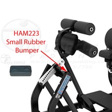 BWGHGluteHamHAM223