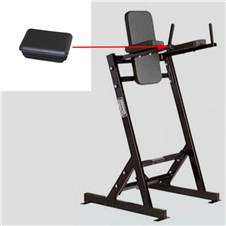 BWLR-Leg-Raise-FWP269