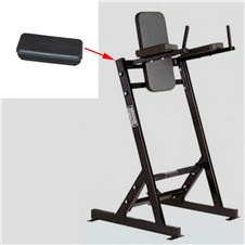 BWLR-Leg-Raise-FWP281