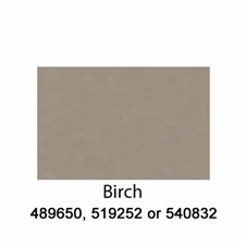 Birch-540832-2022