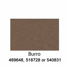 Burro-540831-2022