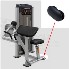 C003ES-Bicep-Curl-PRE498