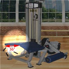 C106LyingLegCurl36Chest