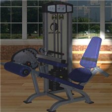 C108SeatedLegCurlBack
