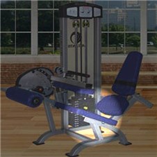 C108SeatedLegCurlSeat