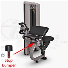 C204ECBicepcurlPRE12
