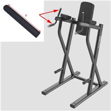 CI-DLR-Dip-Leg-Raise-GRP100PVC
