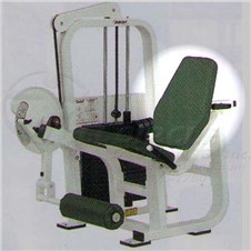 CL2401LegExtensionBack
