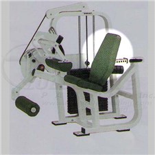 CL2402SeatedLegCurlBack