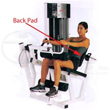 CSSLCSeatedLegCurlBack
