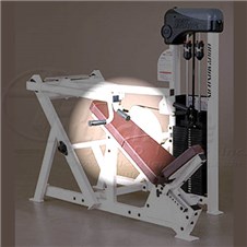 CX311InclinePressBack