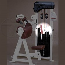 CX421TricepsExtensionBack