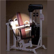 CXi322LateralRaiseBack