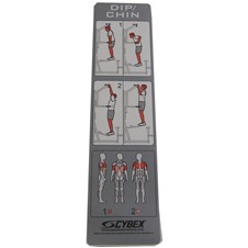 CYW505-Dip-Chin-Assist-Placard