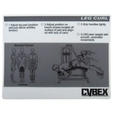 CYW519-Decal