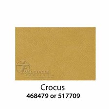 Crocus20151