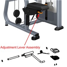 DSL0504-Lateral-Raise-PRE577