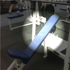 F2OIBInclineBenchBack