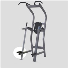 F3CD-Chin-Dip-Leg-Raise-US-NA565