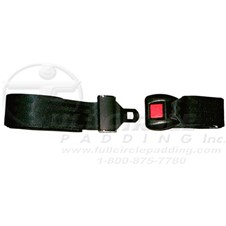 FW155Seatbelt