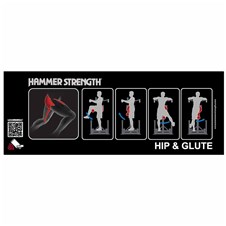 HAM388-Hip-Glute-Placard