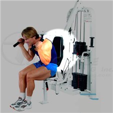 HD1300AbdominalPecFlyBack