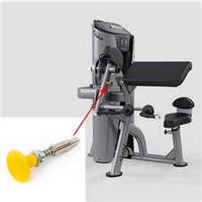 HD3100-Bicep-Triceps-HT466