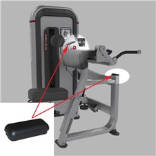 IPBA3-Bilateral-Arm-Curl-STAR313-2022
