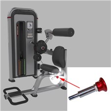 IPBE-Back-Extension-STAR323