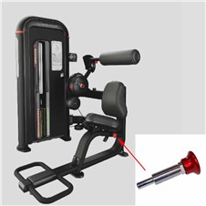 IPBE5-Back-Extension-STAR323
