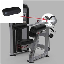 IPDR2-Deltoid-Raise-STAR313-2022