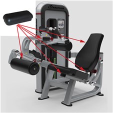 IPLC3-Seated-Leg-Curl-STAR313-2022