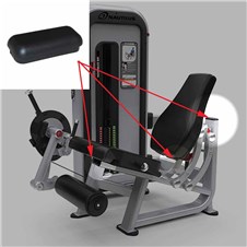 IPLE2-Leg-Extension-STAR313-2022