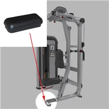 IPPF3-Pec-Fly-Rear-Delt-STAR313-2022