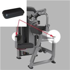 IPTE3-Triceps-Extension-STAR313-2022