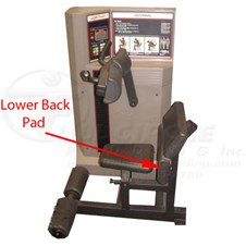 LifeCircuitAbdominalLowerBack