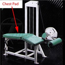 MD111LegCurlChest
