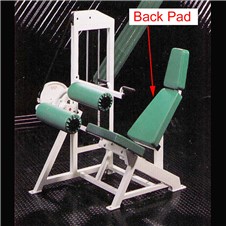MD118_Seated_Leg_Curl_Back