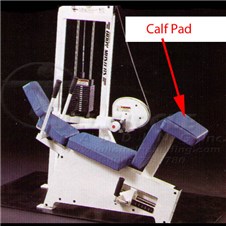 MD221AAbdominalCrunchCalfpad