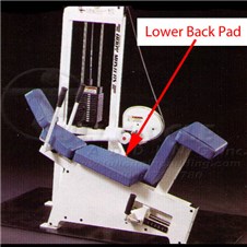 MD221AAbdominalCrunchLowBack