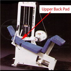 MD221AAbdominalCrunchUpBack