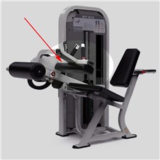 NAS1314-Seated-Leg-Curl-Thigh