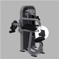 NAS5302TricepsExtensionbackpad