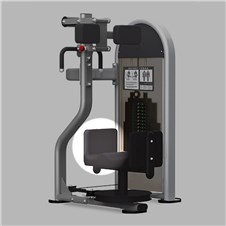 NLS6300RotaryTorsoThigh