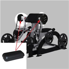 NP-L5002-Bicep-Curl-STAR313-2022
