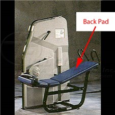 NextGenLowerAbdominalBack