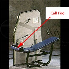 NextGenLowerAbdominalCalf