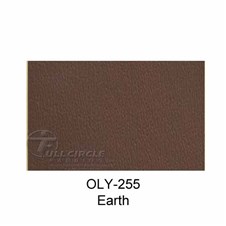 OLY255Earth