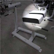OldBMBackExtensionThigh